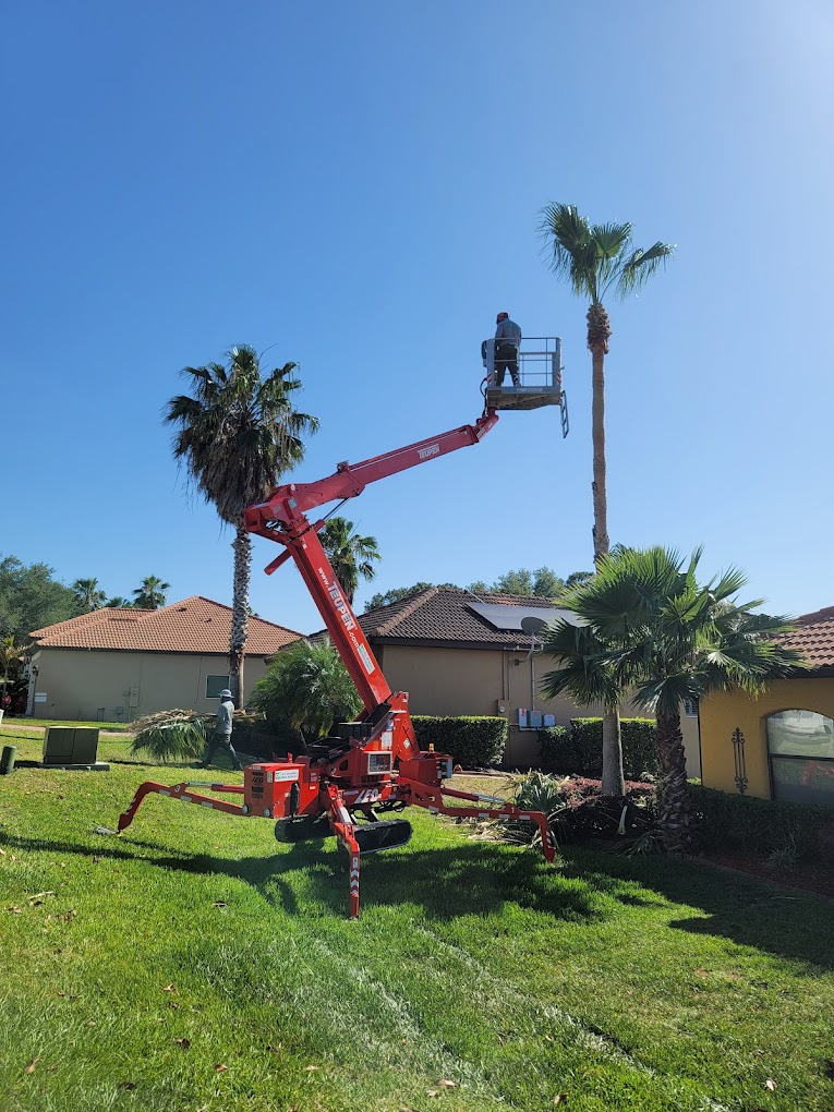 All Seasons Property Management, LLC. » winter garden’s licensed and insured Bucket Truck Services » AllSeasonsPropertymgmt.com